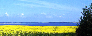 Gemeinde Noer im D&auml;nischen Wohld an der Ostsee